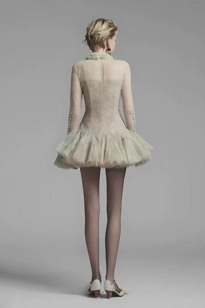 Embroidered Flared long sleeve Mini Dress