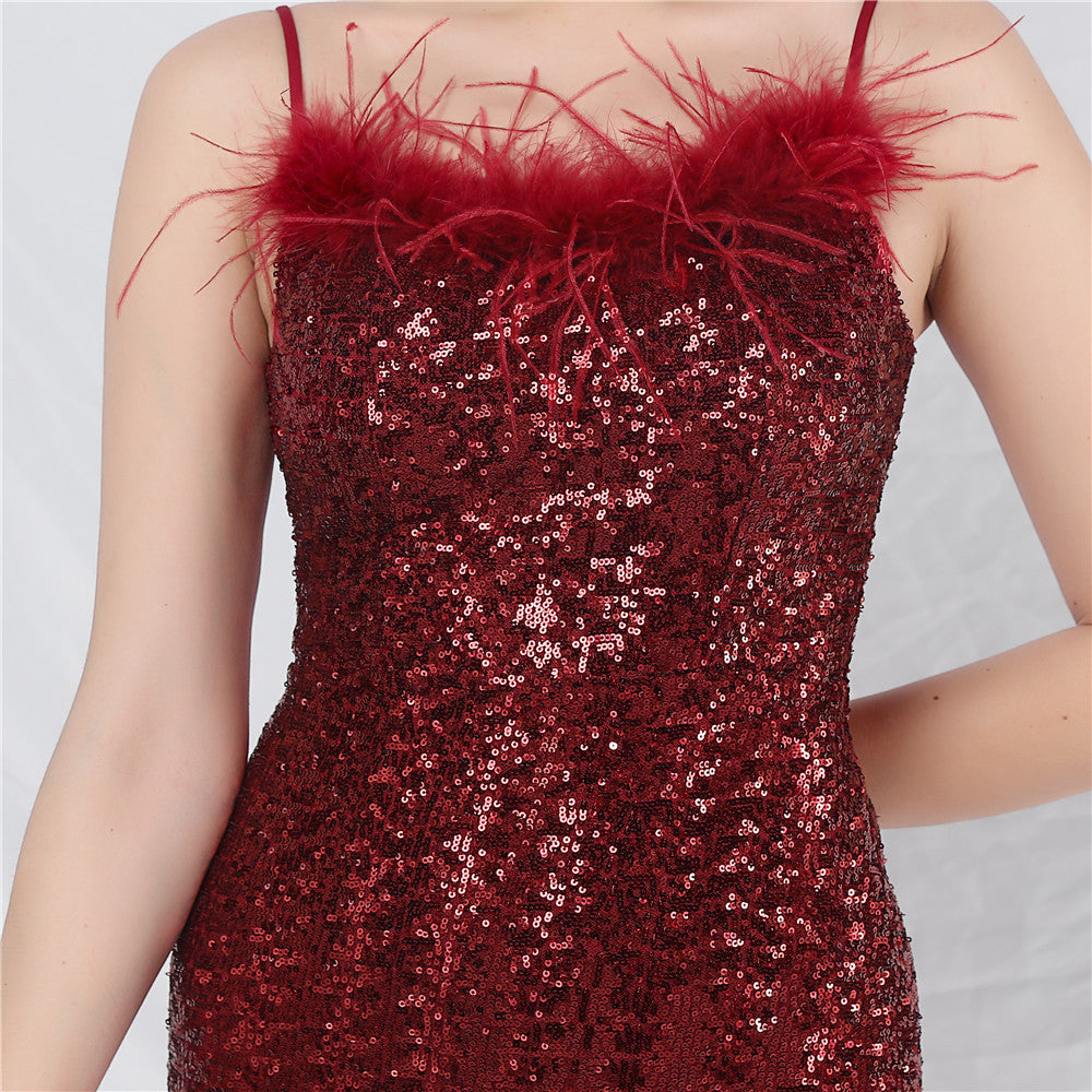 Evening Formal Dress