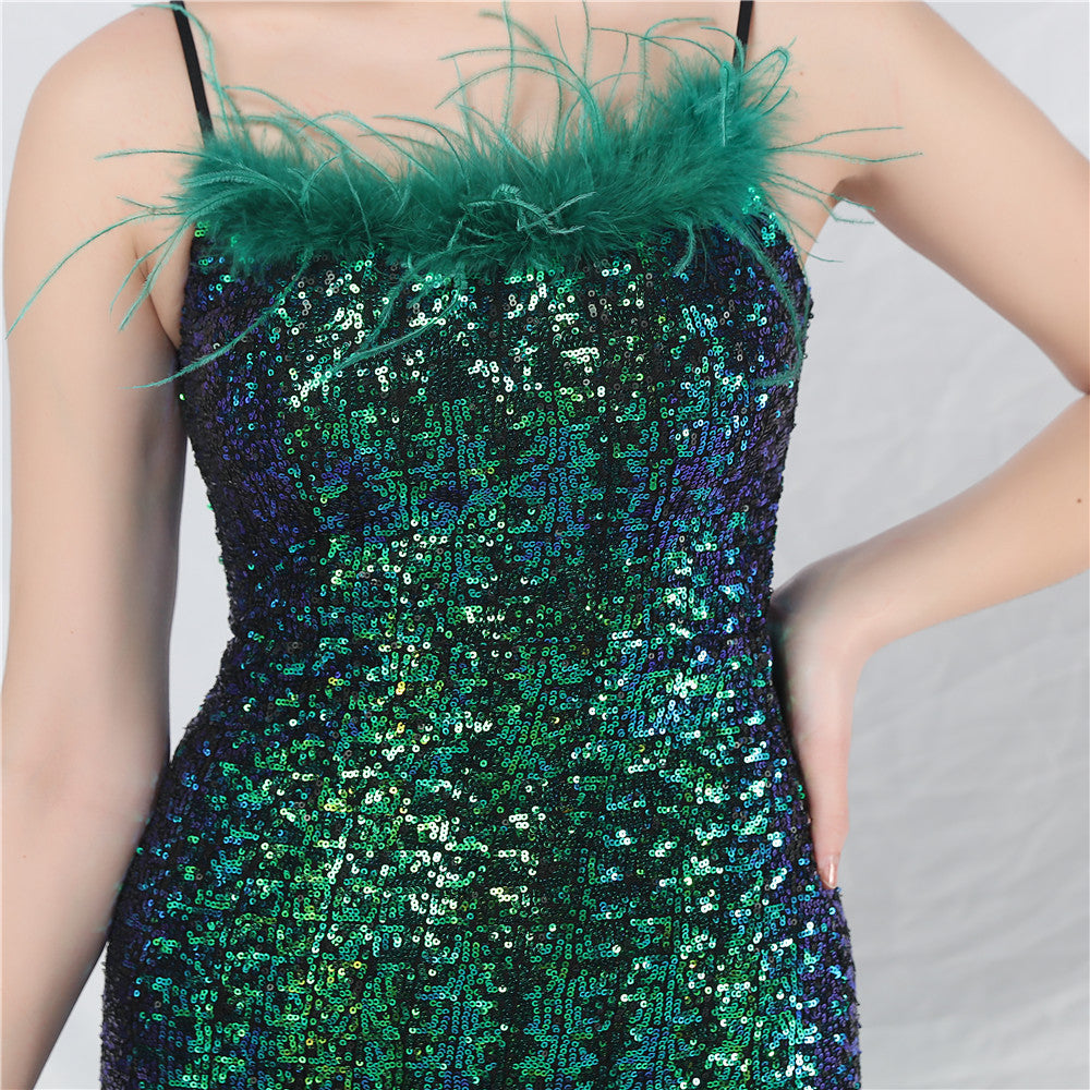 Evening Formal Dress