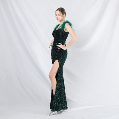 Evening Formal Dress