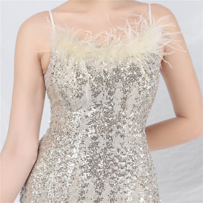 Evening Formal Dress