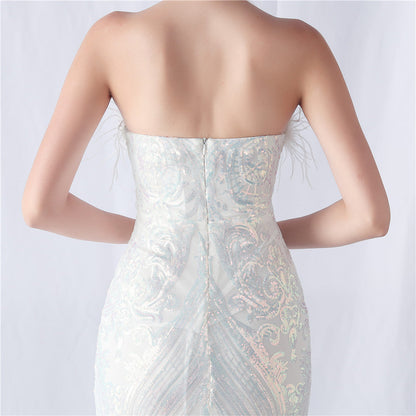 Evening Formal Dress