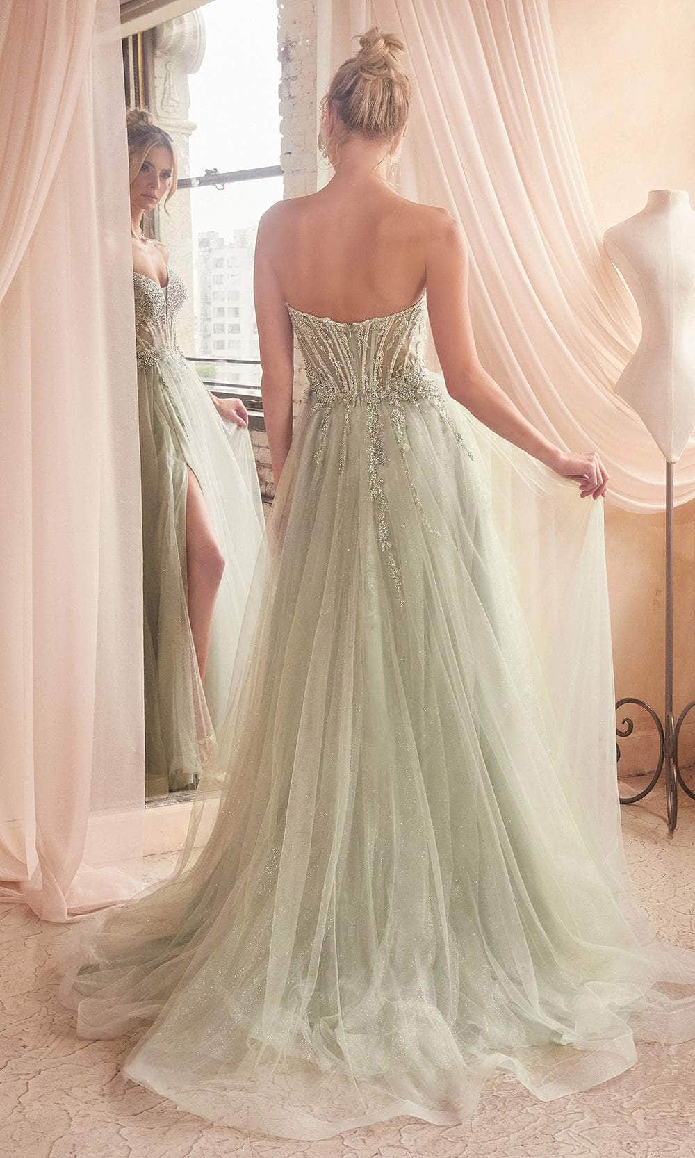 Ladivine  Beaded Appliqued A-Line Prom Gown